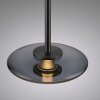 Illuminazione Paul Neuhaus Vitrum Lampada a sospensione LED Grigio, 2-Luci