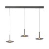 Illuminazione Paul Neuhaus Vitrum Lampada a sospensione LED Grigio, 6-Luci