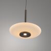 Illuminazione Paul Neuhaus Vitrum Lampada a sospensione LED Marrone, 6-Luci