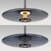 Illuminazione Paul Neuhaus E-Vitrum Lampada a sospensione LED Grigio, 2-Luci, Telecomando