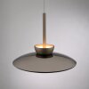 Illuminazione Paul Neuhaus Moon Lampada a sospensione LED Bronzo, 2-Luci