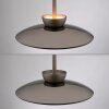 Illuminazione Paul Neuhaus Moon Lampada a sospensione LED Bronzo, 2-Luci