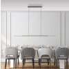 Illuminazione Paul Neuhaus Surface Lampada a sospensione LED Grigio, 1-Luce
