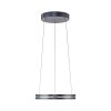 Illuminazione Paul Neuhaus E-Loop Lampada a sospensione LED Grigio, 2-Luci, Telecomando
