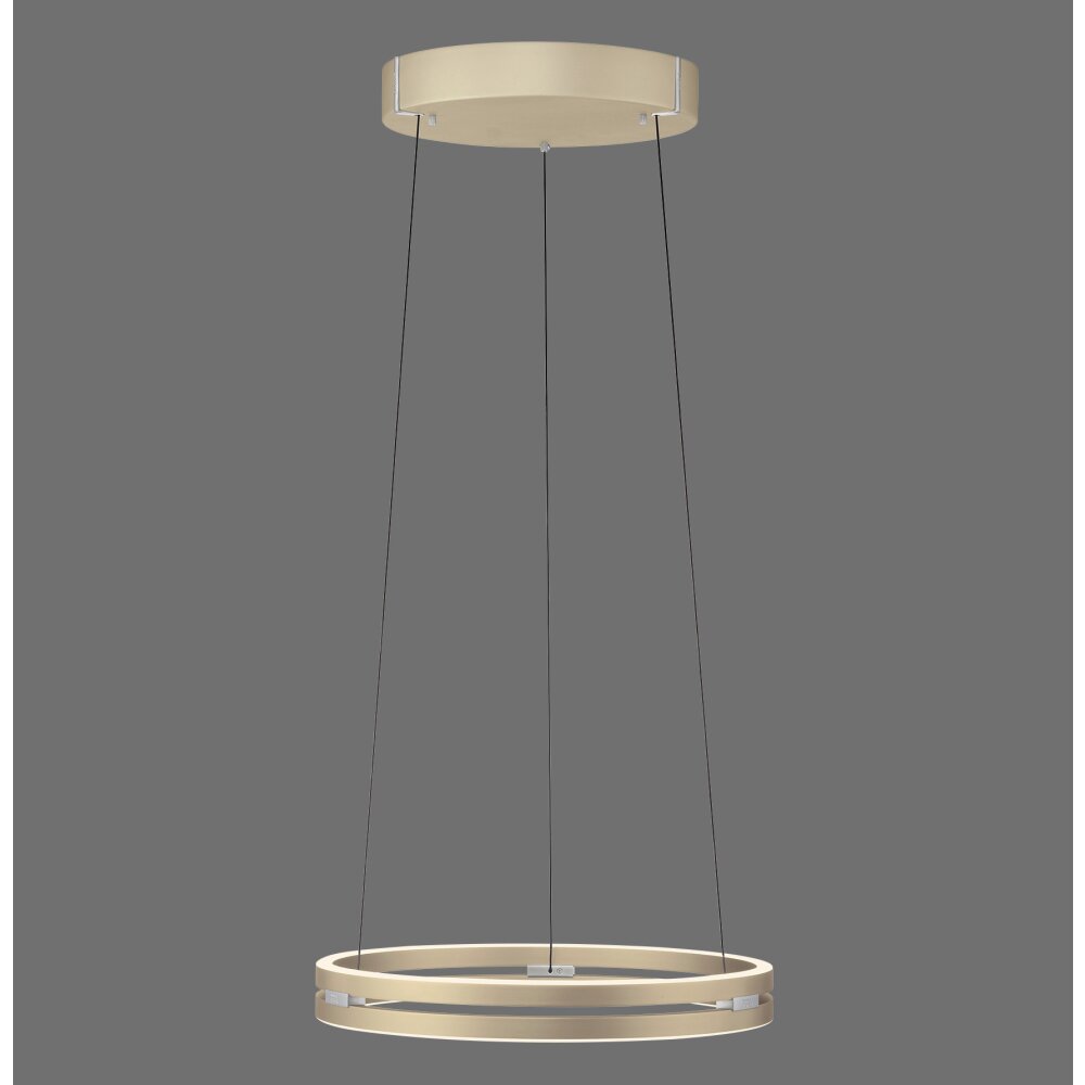 Illuminazione Paul Neuhaus E-Loop Lampada a sospensione LED Ottone, 2-Luci, Telecomando main product photo