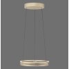 Illuminazione Paul Neuhaus E-Loop Lampada a sospensione LED Ottone, 2-Luci, Telecomando
