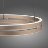 Illuminazione Paul Neuhaus E-Loop Lampada a sospensione LED Ottone, 2-Luci, Telecomando