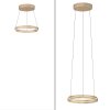 Illuminazione Paul Neuhaus E-Loop Lampada a sospensione LED Ottone, 2-Luci, Telecomando
