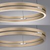Illuminazione Paul Neuhaus E-Loop Lampada a sospensione LED Ottone, 2-Luci, Telecomando