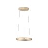 Illuminazione Paul Neuhaus E-Loop Lampada a sospensione LED Ottone, 2-Luci, Telecomando