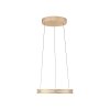 Illuminazione Paul Neuhaus E-Loop Lampada a sospensione LED Ottone, 2-Luci, Telecomando