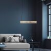 Illuminazione Paul Neuhaus E-Loop Lampada a sospensione LED Ottone, 2-Luci, Telecomando