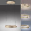 Illuminazione Paul Neuhaus E-Loop Lampada a sospensione LED Ottone, 2-Luci, Telecomando