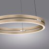 Illuminazione Paul Neuhaus E-Loop Lampada a sospensione LED Ottone, 2-Luci, Telecomando
