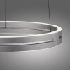 Illuminazione Paul Neuhaus E-Loop Lampada a sospensione LED Argento, 2-Luci, Telecomando