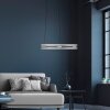 Illuminazione Paul Neuhaus E-Loop Lampada a sospensione LED Argento, 2-Luci, Telecomando