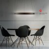 Illuminazione Paul Neuhaus E-Loop Lampada a sospensione LED Nero, 2-Luci, Telecomando