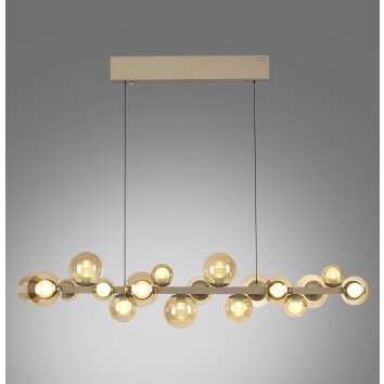 Illuminazione Paul Neuhaus E-Popup Lampada a sospensione LED Bronzo, 18-Luci, Telecomando