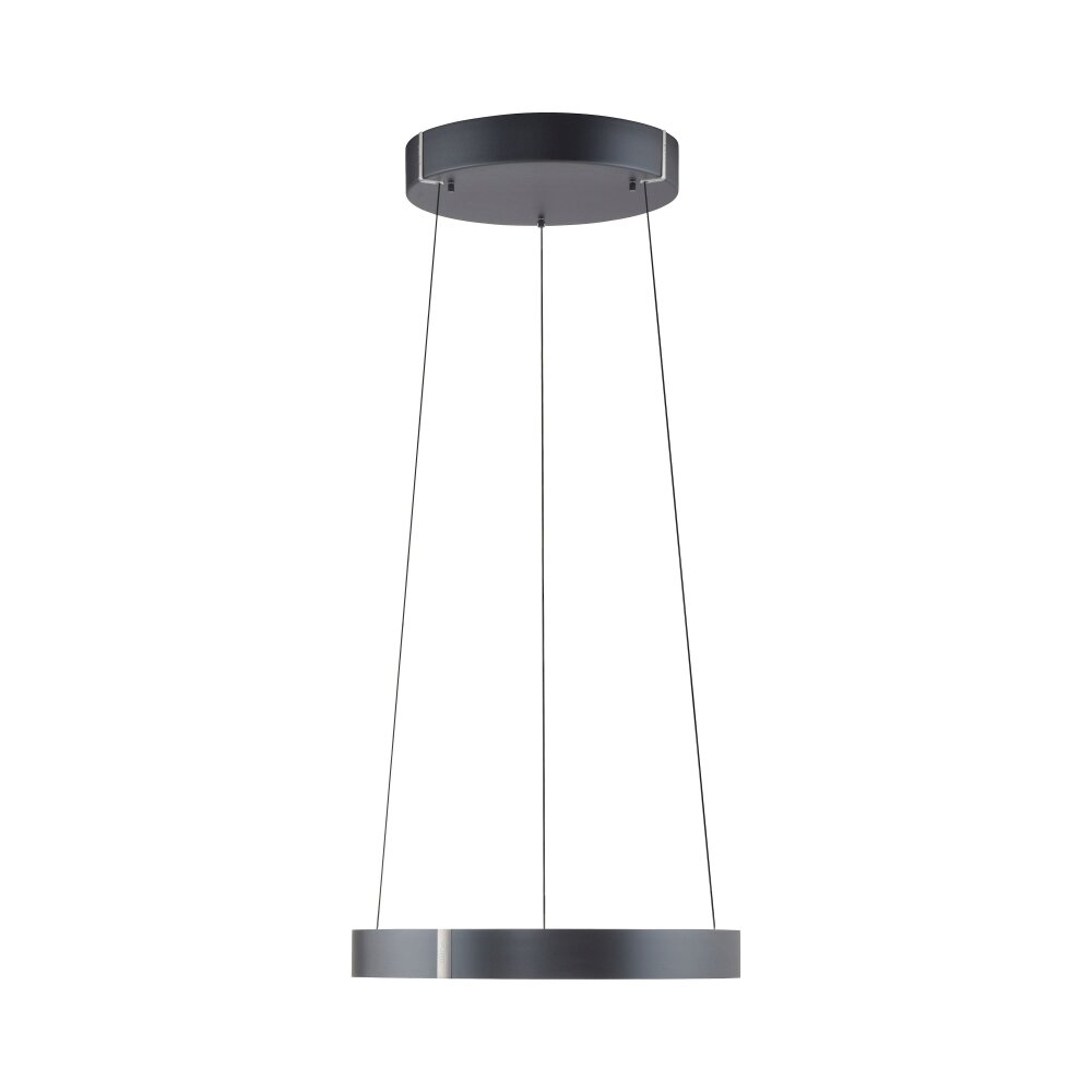 Illuminazione Paul Neuhaus E-Clipse Lampada a sospensione LED Grigio, 2-Luci, Telecomando