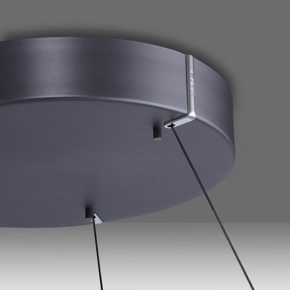 Illuminazione Paul Neuhaus E-Clipse Lampada a sospensione LED Grigio, 2-Luci, Telecomando