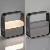 Illuminazione Paul Neuhaus Go Lampada da tavolo LED Grigio, 1-Luce