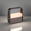 Illuminazione Paul Neuhaus Go Lampada da tavolo LED Marrone, 1-Luce
