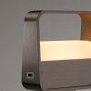 Illuminazione Paul Neuhaus Go Lampada da tavolo LED Marrone, 1-Luce