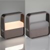 Illuminazione Paul Neuhaus Go Lampada da tavolo LED Marrone, 1-Luce