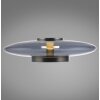 Illuminazione Paul Neuhaus Vitrum Lampada da tavolo LED Grigio, 1-Luce