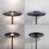 Illuminazione Paul Neuhaus Vitrum Lampada da terra LED Grigio, 2-Luci
