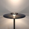 Illuminazione Paul Neuhaus Vitrum Lampada da terra LED Grigio, 2-Luci