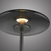 Illuminazione Paul Neuhaus Vitrum Lampada da terra LED Grigio, 2-Luci