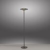 Illuminazione Paul Neuhaus Vitrum Lampada da terra LED Grigio, 2-Luci
