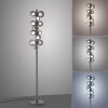 Illuminazione Paul Neuhaus Popup Lampada da terra LED Grigio, 12-Luci