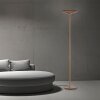 Illuminazione Paul Neuhaus Moon Lampada da terra LED Bronzo, 2-Luci