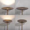 Illuminazione Paul Neuhaus Moon Lampada da terra LED Bronzo, 2-Luci