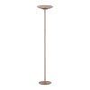 Illuminazione Paul Neuhaus Moon Lampada da terra LED Bronzo, 2-Luci