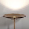 Illuminazione Paul Neuhaus Moon Lampada da terra LED Bronzo, 2-Luci