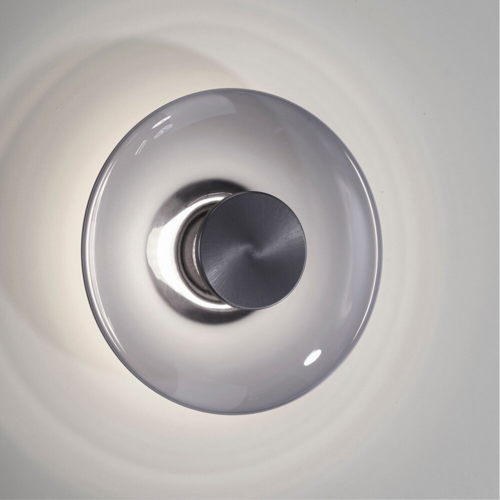 Illuminazione Paul Neuhaus Vitrum Applique e plafoniera LED Grigio, 1-Luce