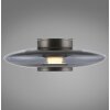 Illuminazione Paul Neuhaus Vitrum Applique e plafoniera LED Grigio, 1-Luce