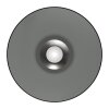Illuminazione Paul Neuhaus Moon Plafoniera LED Grigio, 2-Luci