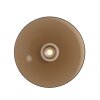 Illuminazione Paul Neuhaus Moon Plafoniera LED Bronzo, 2-Luci