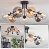 Gastor Plafoniera, Lampada a sfera Ambrato, Chiaro, Grigio fumo, 7-Luci