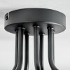 Koyoto Plafoniera, Lampada a sfera Ambrato, 7-Luci