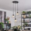 Ripoll Lampadario a sospensione, Lampada a sfera, Lampada a sospensione a cluster Chiaro, 3-Luci