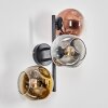 Ripoll Lampada a sfera, Applique Cromo, Oro, Chiaro, Ramato, Grigio fumo, 3-Luci