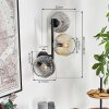 Ripoll Lampada a sfera, Applique Ambrato, Chiaro, Grigio fumo, 3-Luci