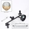 Ripoll Lampada a sfera, Applique Ambrato, Chiaro, 3-Luci