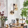 Gastor Lampada a sfera, Applique Ambrato, Chiaro, 3-Luci