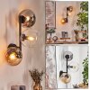 Gastor Lampada a sfera, Applique Ambrato, Chiaro, Grigio fumo, 3-Luci